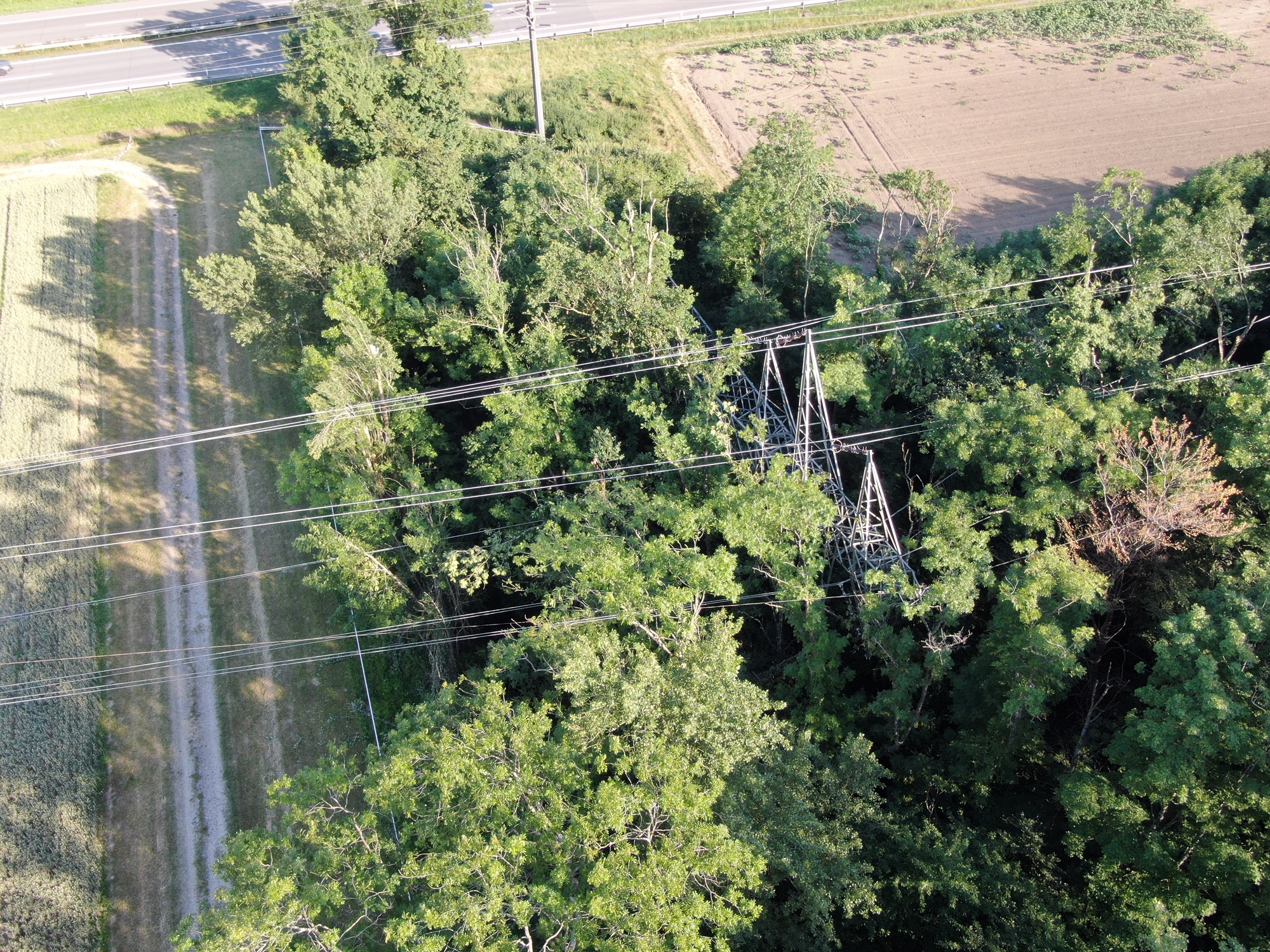 L’enquête sur le sabotage du pylône électrique de Gland du 26 juin dernier se poursuit